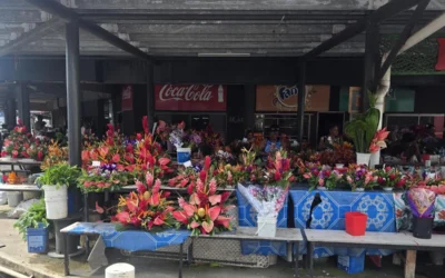 HIV challenges our Fijian neighbours